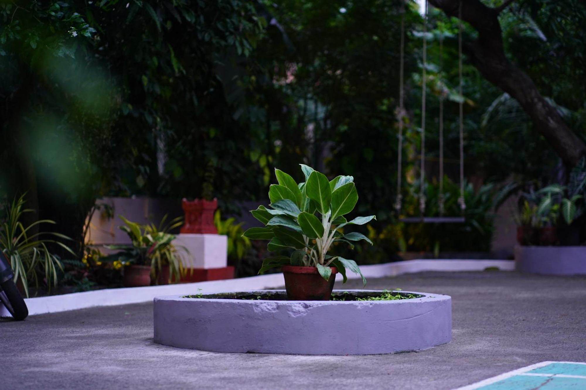 Remasailam Homestay - Thiruvananthapuram , Calm & Blend With Nature ภายนอก รูปภาพ